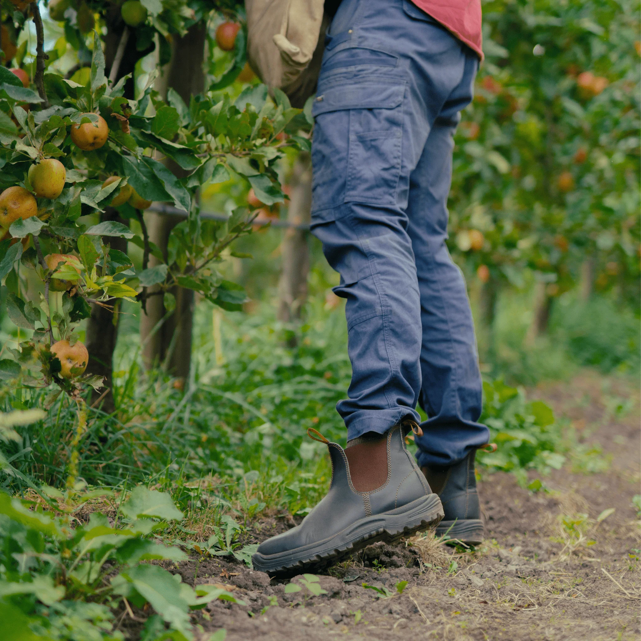 Blundstone 192 Stout Brown Safety Boots - Image 4
