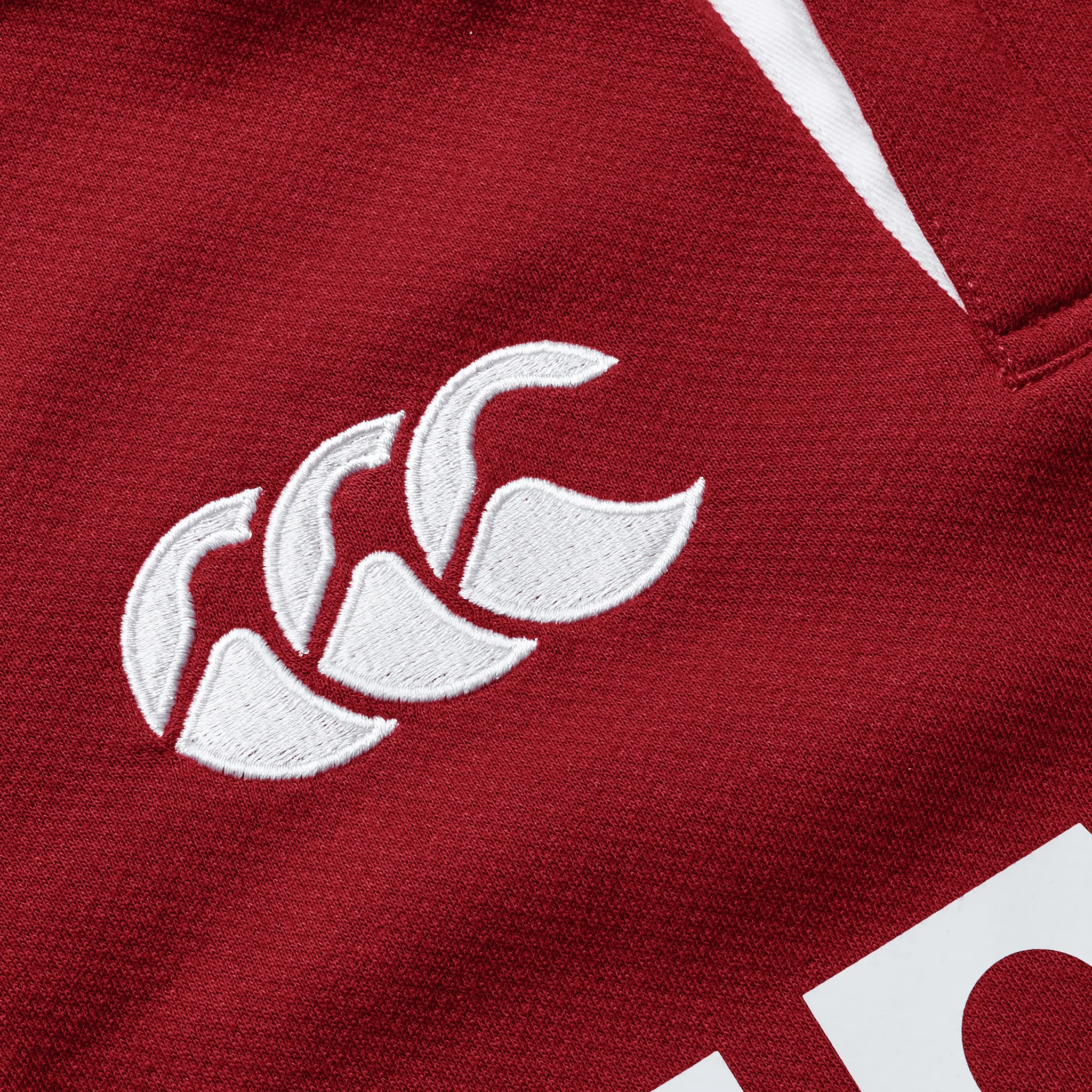 Canterbury British & Irish Lions Short Sleeve Classic Rugby Jersey (Unisex) - Red Dahlia - Image 12