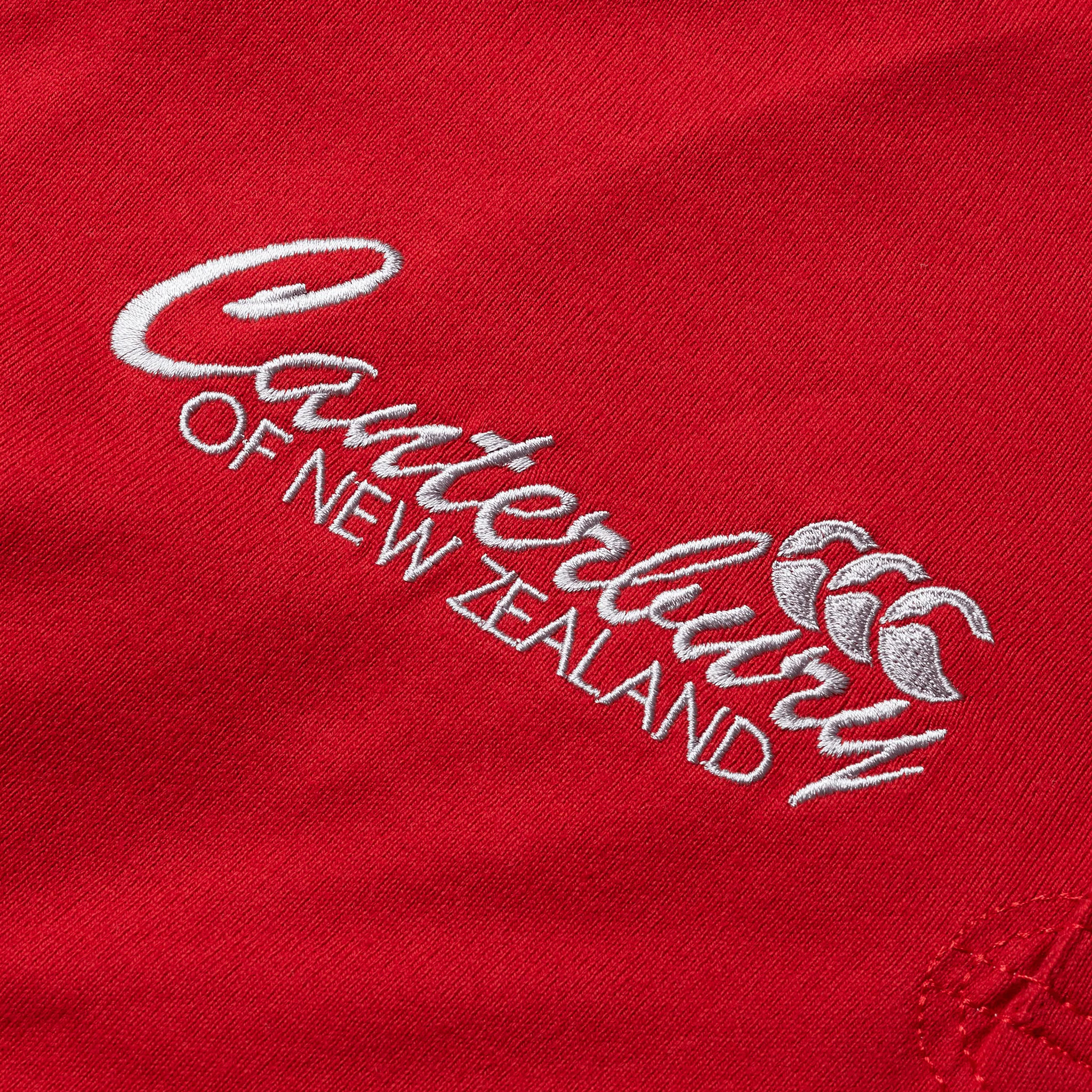 Canterbury British & Irish Lions Heritage Jersey (Unisex) - Red Haute - Image 10