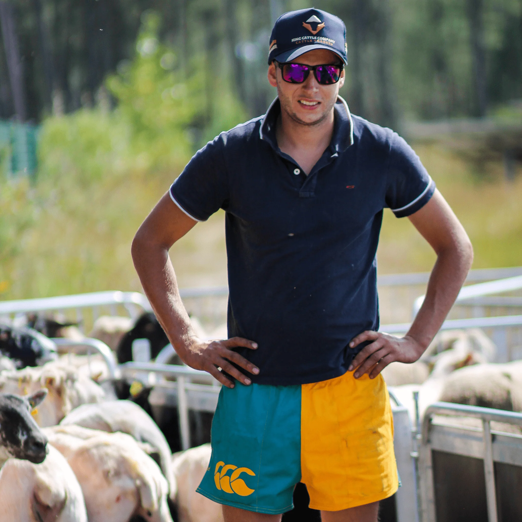 Canterbury Limited Edition Harlequin Shorts (Unisex) - Alpine/Gold - Image 7