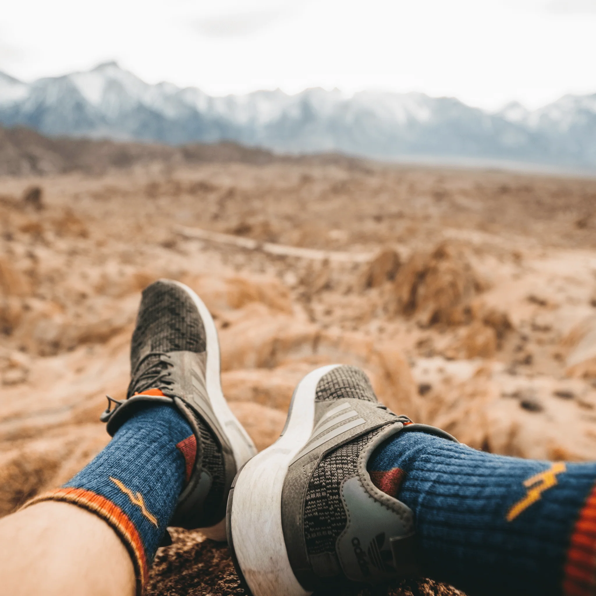 Darn Tough Men's Hiker Micro Crew Midweight with Cushion Socks - Denim - Image 7
