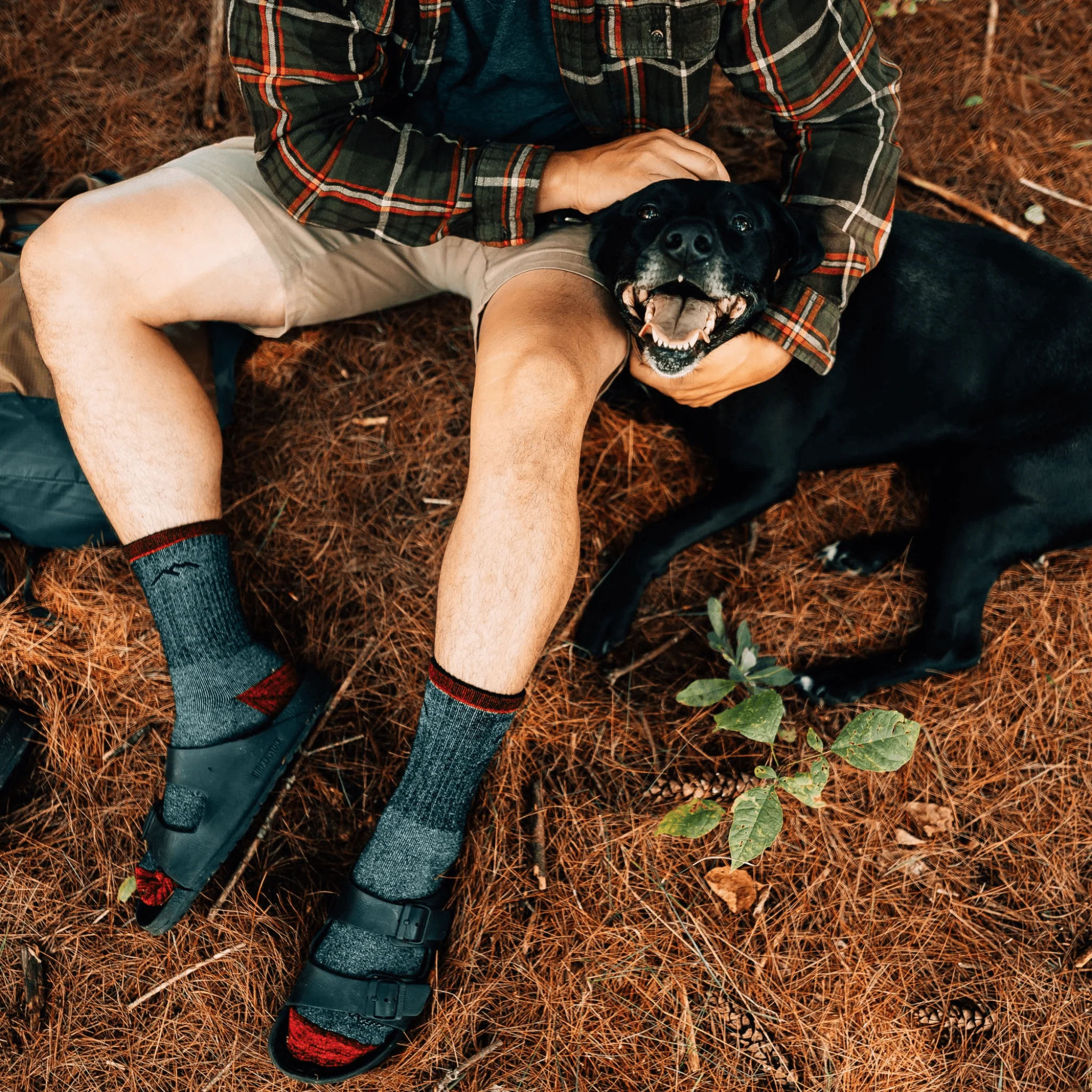 Darn Tough Men's Mountaineering Micro Crew Heavyweight with Full Cushion Hiking Sock - Smoke - Image 4