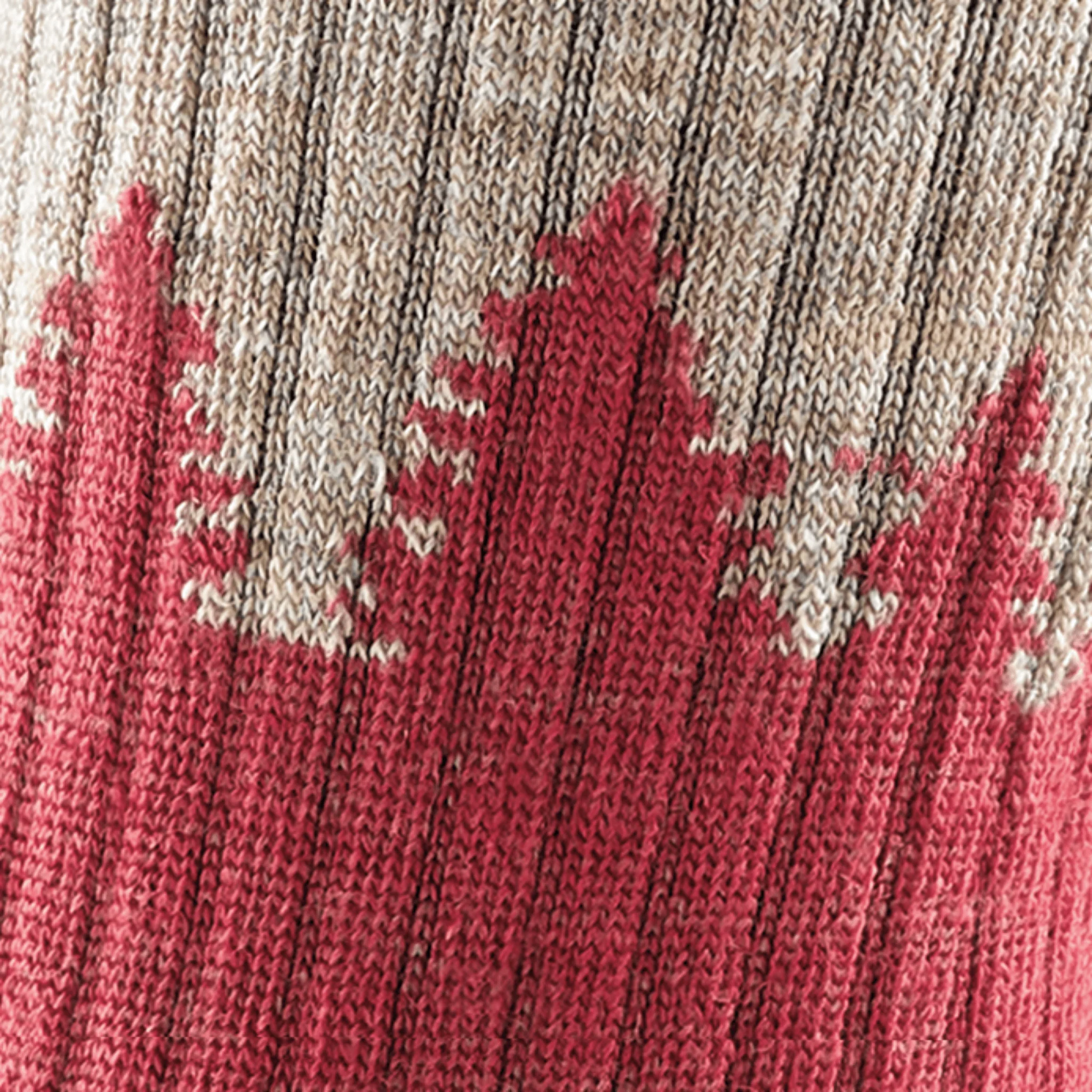 Darn Tough Women's Hiker Treeline Micro Crew Midweight with Cushion Sock - Cranberry - Image 4
