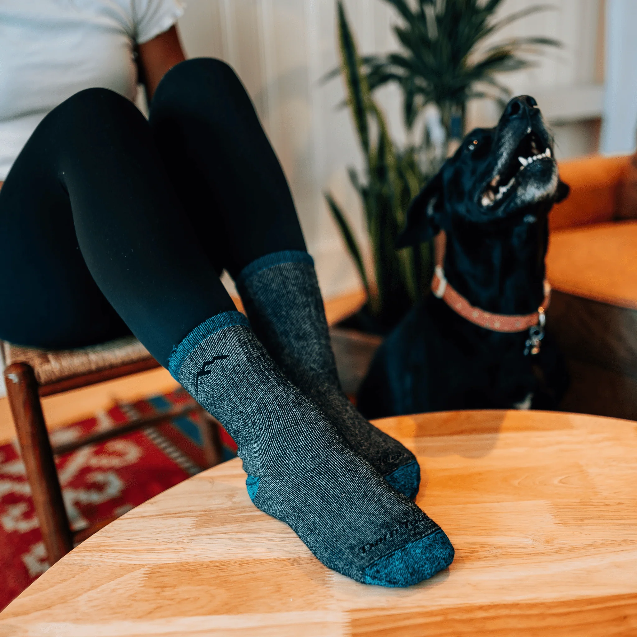 Darn Tough Women's Mountaineering Micro Crew Heavyweight with Full Cushion Hiking Sock - Midnight - Image 2