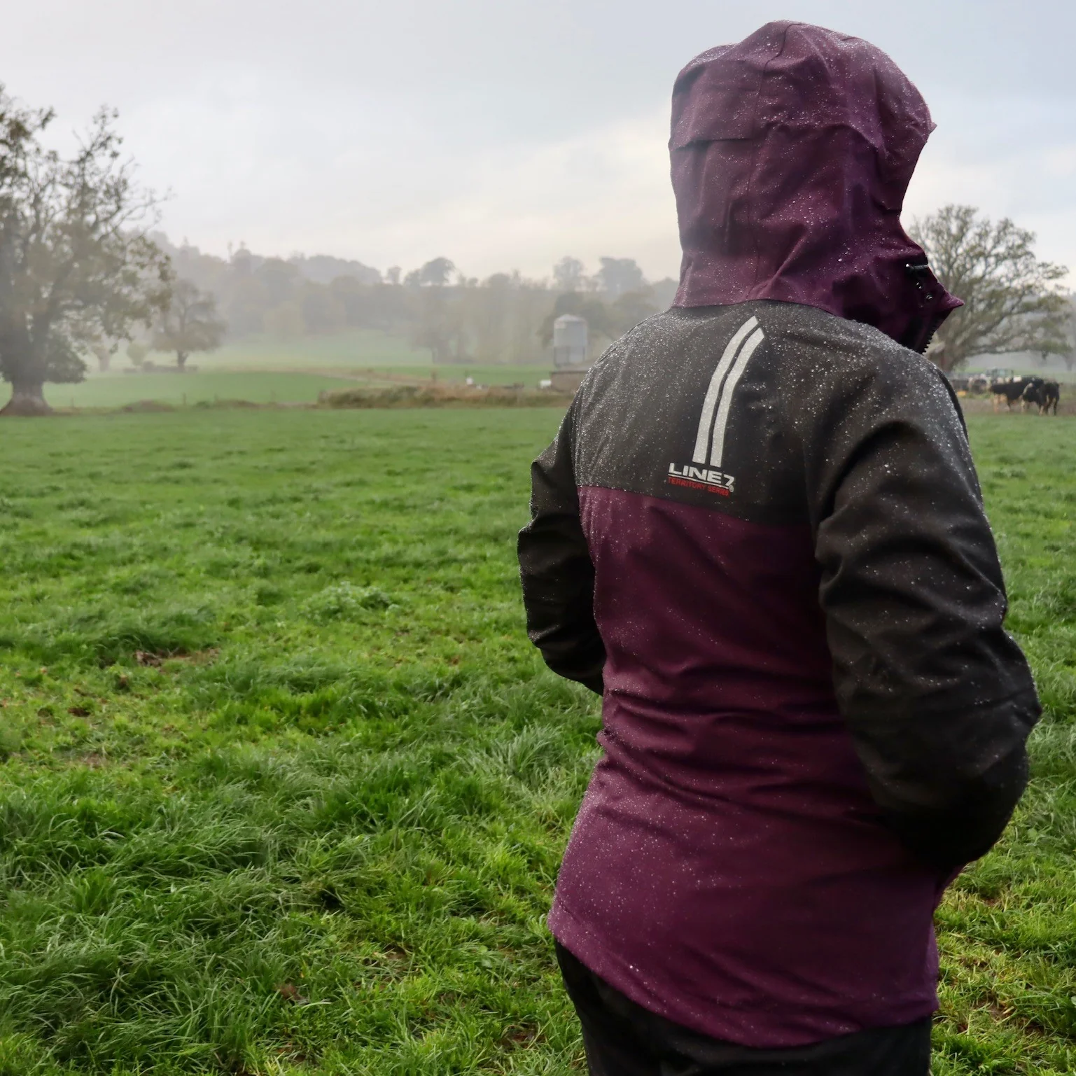 Line 7 Women's Territory Storm Pro20 Waterproof Jacket - Image 5