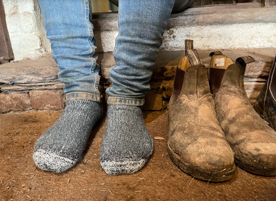 Comfort Socks NZ Merino Boot Socks - Image 6