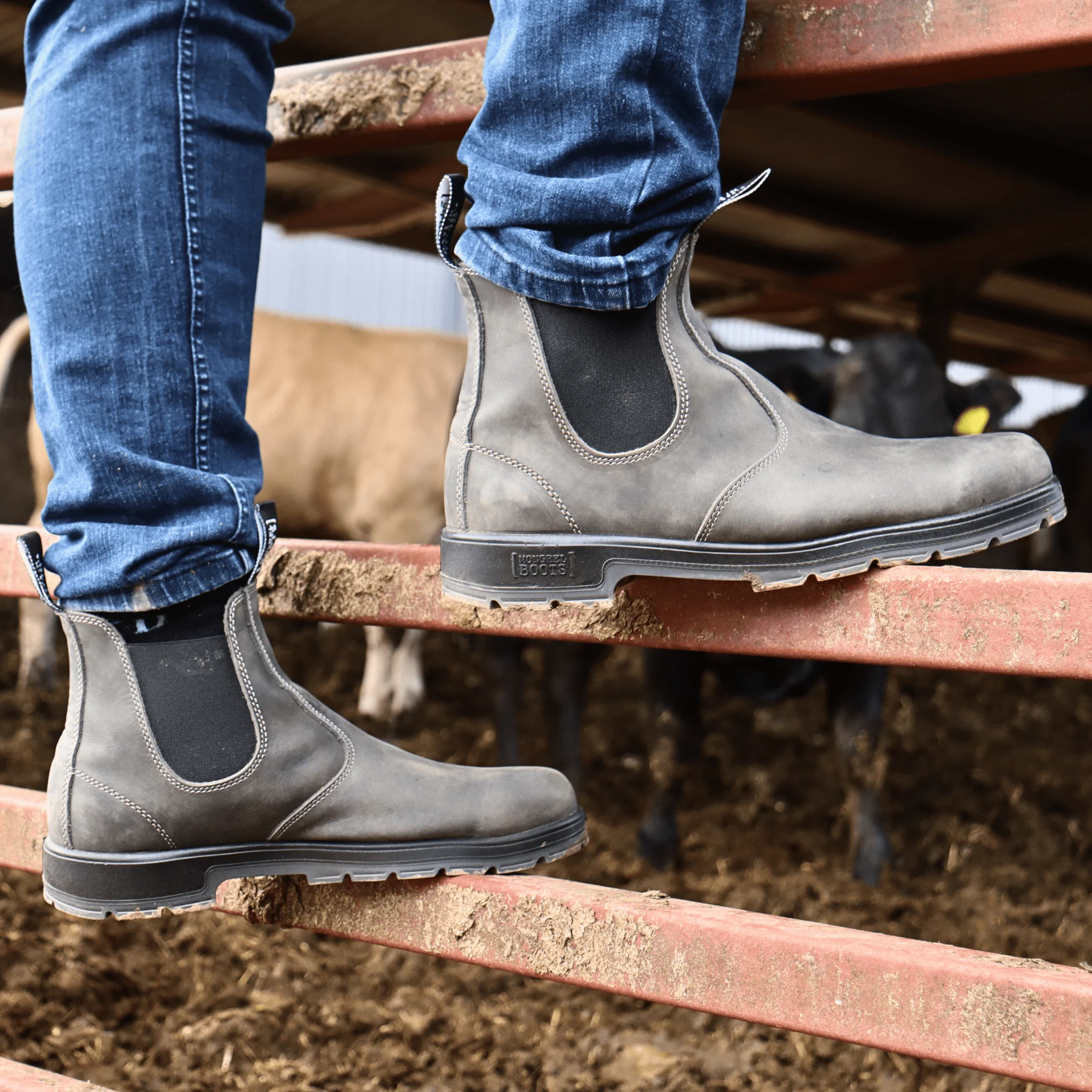 Mongrel K9 Dealer Boots - Cloudy Grey - Image 6