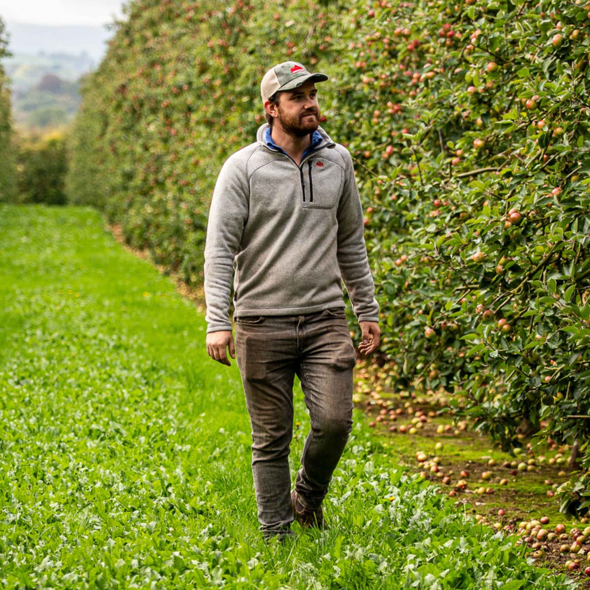 Sugar Loaf Fell Half Zip Fleece - Ash - Image 12
