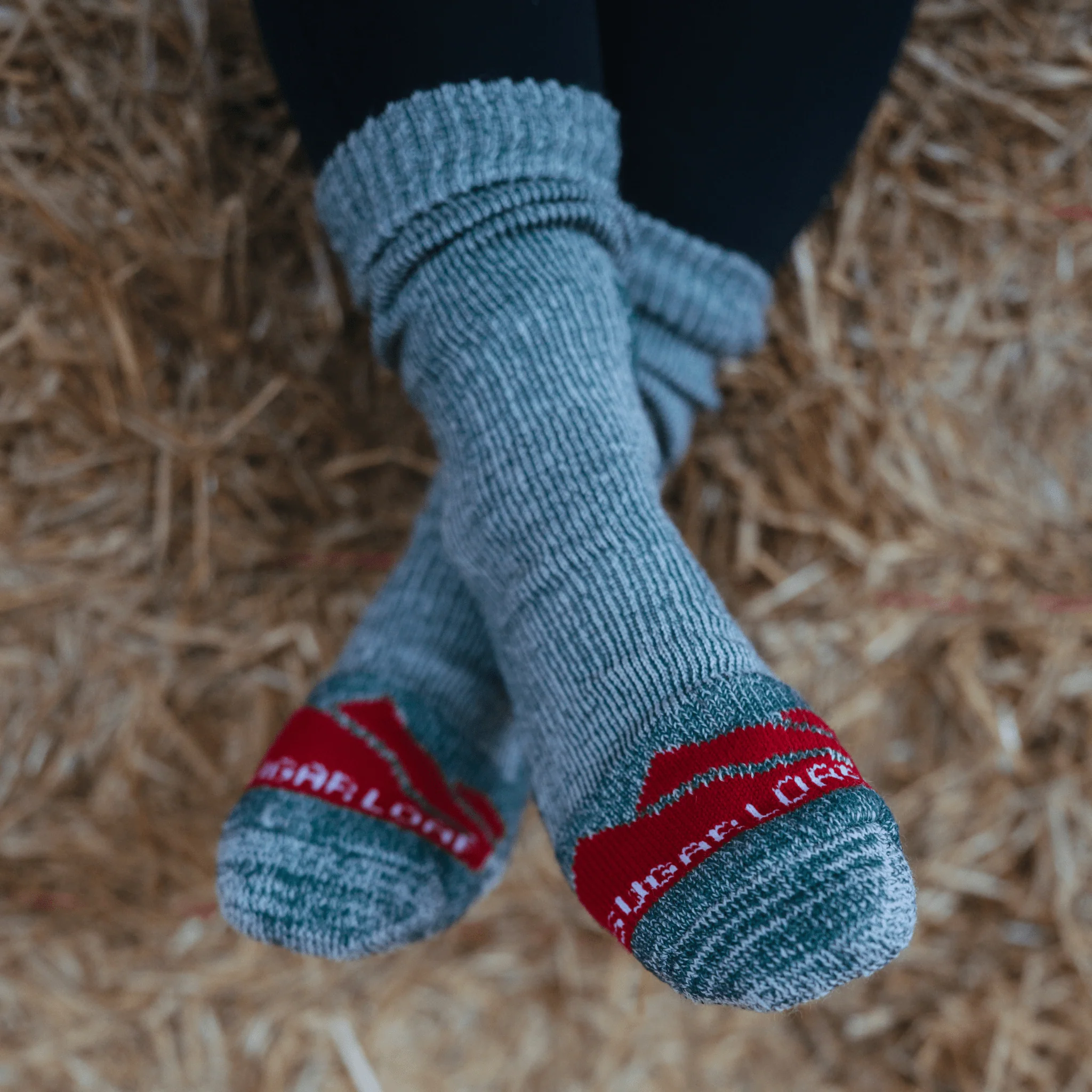 Sugar Loaf Merino Pasture Socks - Image 4