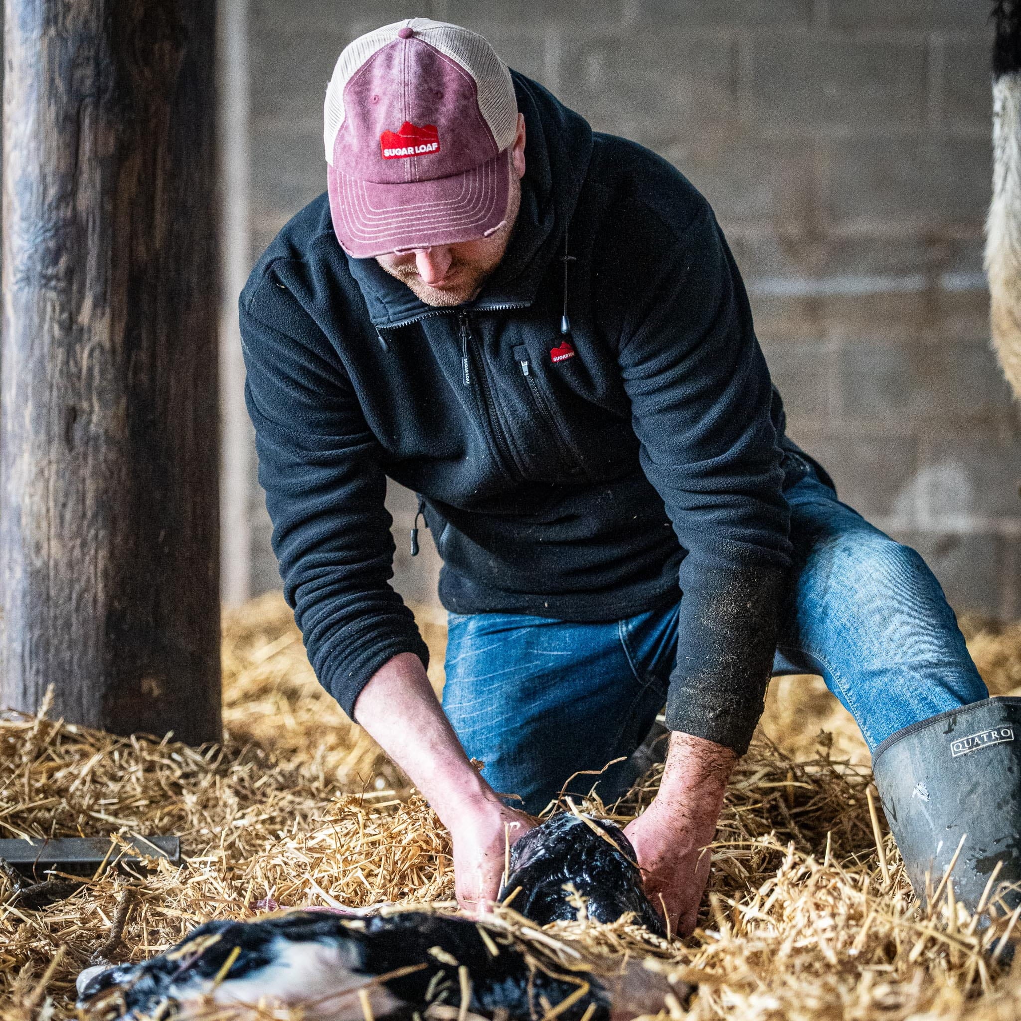 Sugar Loaf Shepherd Polar Fleece Hoodie - Black - Image 10